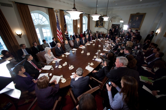 The Selection And Role Of The Cabinet The Executive Branch
